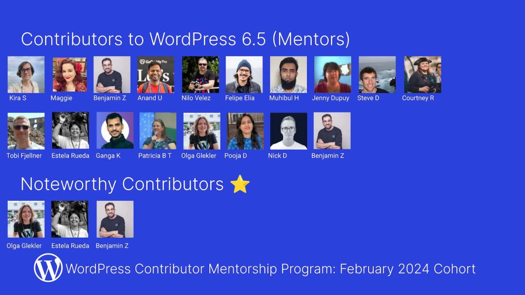 WordPress Mentorship Program